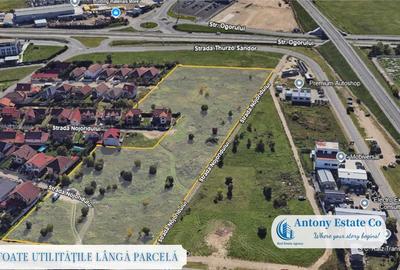 Teren de 19600 mp, în Centura - 2