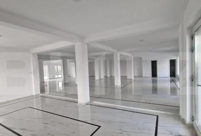 Spatiu comercial nou, 307 mp, 7 locuri parcare, Dumbravita - 3