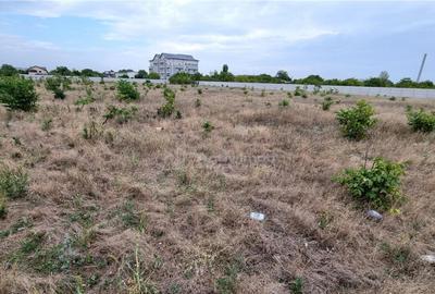 Teren 10.000 mp Giurgiului Tiparnitei - 2