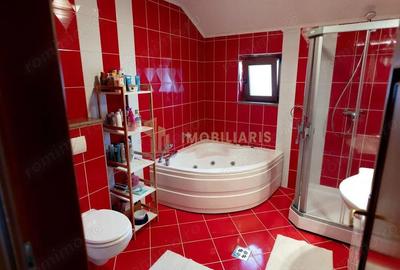 Casă cu Teren 670 Mp în Satu Nou de Jos - 3