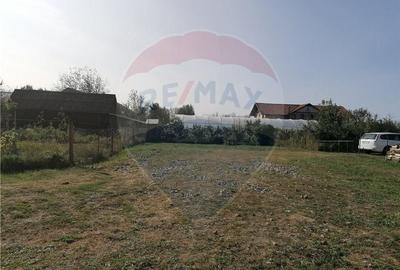 Casa la rosu spre vanzare,  Busag, acces privat - 3