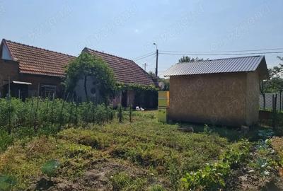 Casă cu 2 camere cu Teren 334 Mp în Vinerea - 8