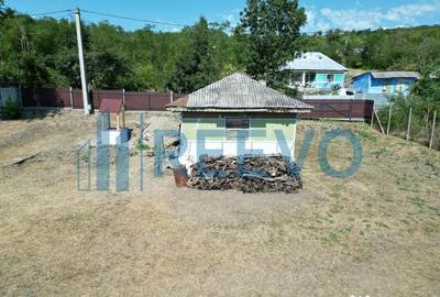 Casă cu 2 camere cu Teren 1425 Mp în Parincea - 4