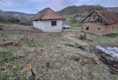Casă cu 2 camere cu Teren 6000 Mp în Zimbor - 3