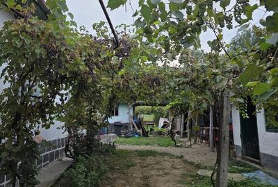 Casă cu 2 camere în Godinești - 2