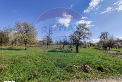 Spațiu comercial, în Cărbunari - 4