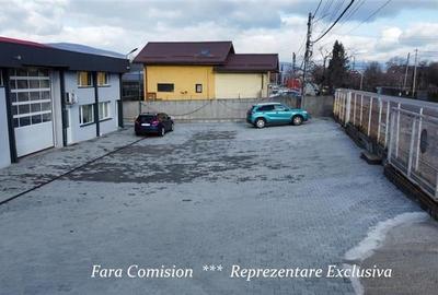 HALA + BIROURI, PARCARE GENEROASA - 15