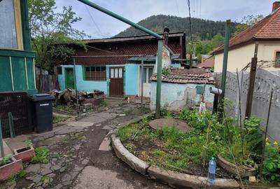 Vanzare Casa in Zlatna Centru - 4