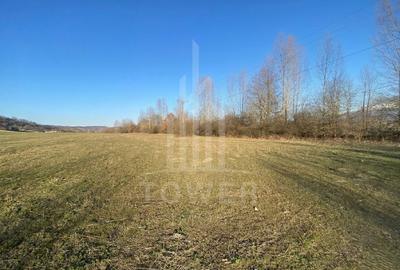 Teren agricol de 7500 mp, în Bradu - 7