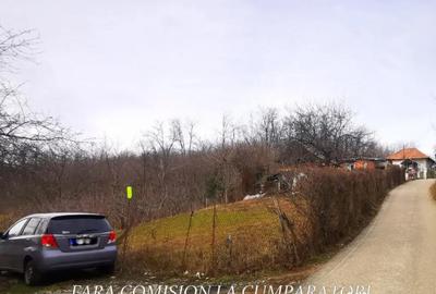 Teren în Vlădesti - 3