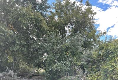 REL4000490 Teren 11ha Splaiul Unirii - Vitan - 2