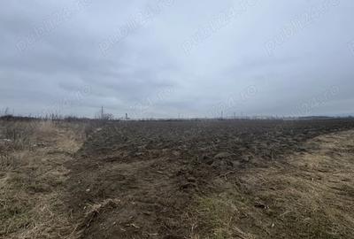 Teren agricol intravilan de 6000 mp, în Mărgineni - 2