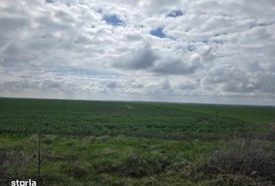 Teren de 5000 mp, în Filipeștii de Târg - 1