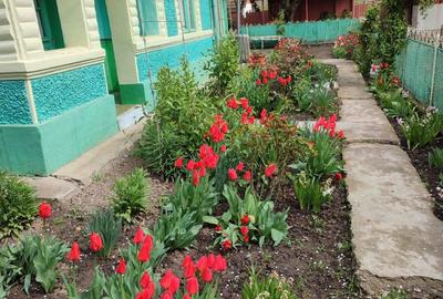 Vand casa GRIVITA-IALOMITA - 5