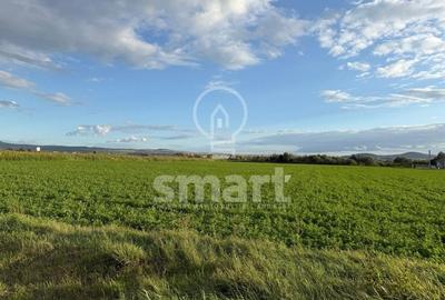 Teren Bistrita Valea Jelnei Teren Bistrita Valea Jelnei - 5