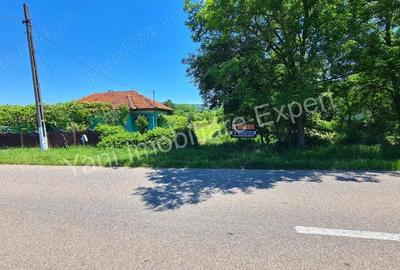 Teren de vanzare in comuna Poienarii de Arge?, sat Ceaure?ti, Jude? Arge?. - 5