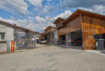 Casă cu 15 camere cu Teren 5000 Mp în Central