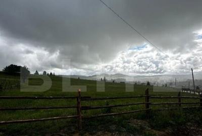 Teren de 20000 mp, în Central