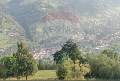 Teren 4,145mp Predelut / Strada Magurii - 3