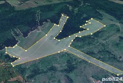 Teren de 480000 mp, în Prunișor - 4