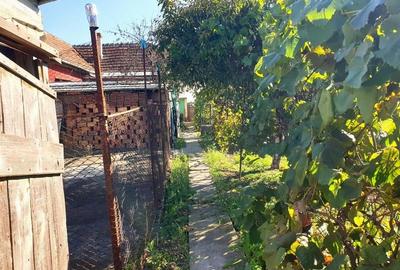 Casa cu teren mare in Cefa cu triplu front stradal - 10