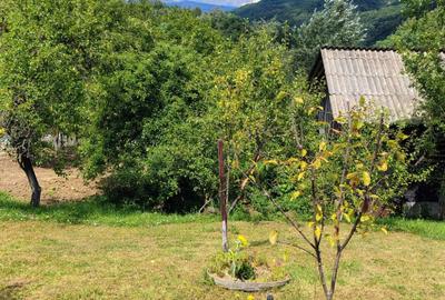 Casă cu 2 camere în Berevoești - 2