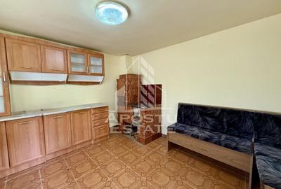 Casa individuala, teren 4000 mp, Cebza - 6