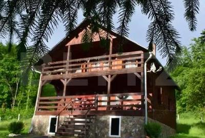 Casa de vacanta cu 4 camere,3300 mp teren,Valisoara - 6