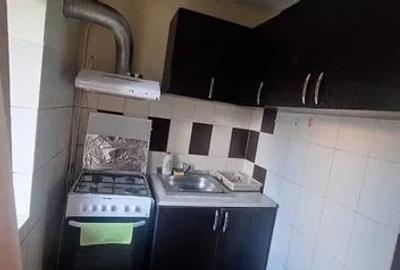 Apartament cu 1 camera, zona Mircea Cel Batran - 4