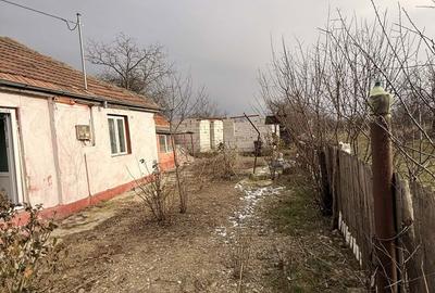 Casă cu 2 camere în Lacu - 5