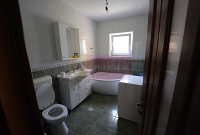 Vila Clinceni - Ciorogirlei. - 4