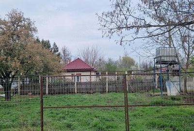 Casă cu 5 camere cu Teren 2200 Mp în Zăvoaia - 9