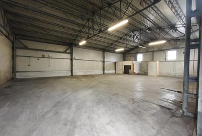 Dumbravita hala 250 mp- 1000 euro - 1