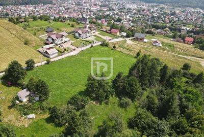 Teren intravilan 7800mp Wurzburg | Gura Humorului | Bucovina - 5