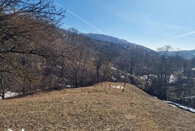 Teren de 4100 mp, în Secăria - 2