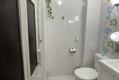 Apartament cu 3 camere semidecomandat în Theodor Pallady - 7