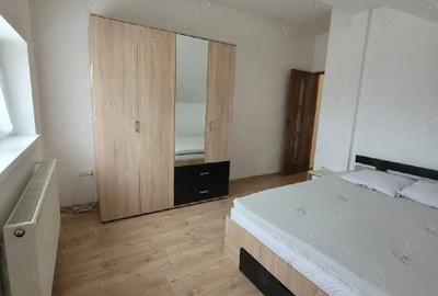 Apartament cu 2 camere decomandat în Turnișor - 1