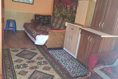 Casa de vanzare Epureni - 3