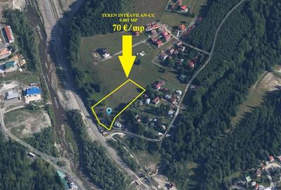 VANZARE TEREN INTRAVILAN SINAIA-CUMPATU Strada Zamora-9.801 mp-Comision 0% - 22