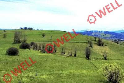 Teren de 6519 mp, în Barcani - 5