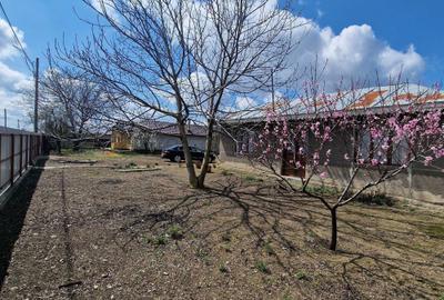 Casă cu 4 camere în Berteștii de Jos - 8