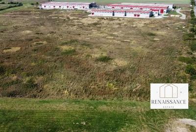 Teren de 55000 mp, în Sânandrei - 7