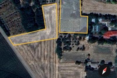 Casă cu 3 camere în Floroaica - 5