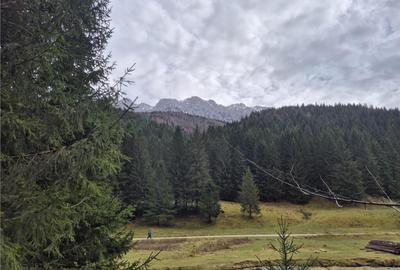 Teren intravilan panoramic 4.600mp,view iconic Piatra Craiul - 3