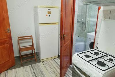 Inchiriez garsoniera la curte - 6