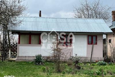 Casă cu 1 camere cu Teren 5000 Mp în Mogoșani - 17
