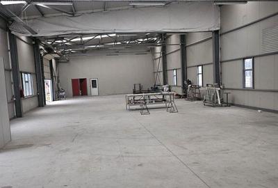 Spațiu comercial, de 437 mp, în Domnești - 1