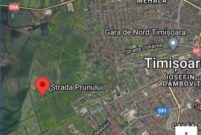 Teren de 597 mp, în Vest - 1