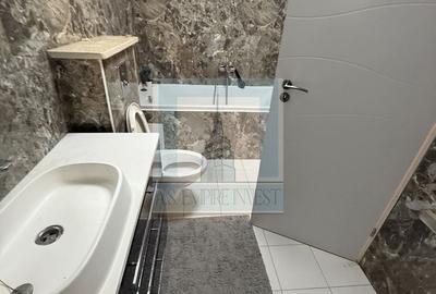 Casă individuală cu 10 camere cu Canalizare în Astra - 24