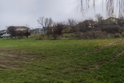 TEREN DE VANZARE DOMNESTI, 600 mp - 6